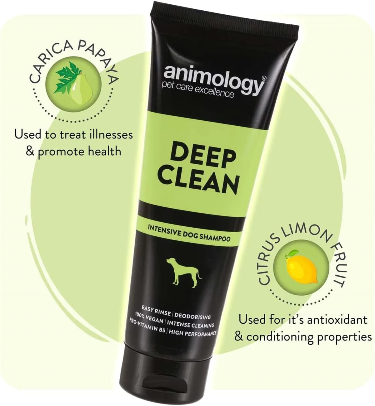 Animology Deep Clean Derin Temizleyici Köpek Şampuanı 250 ML