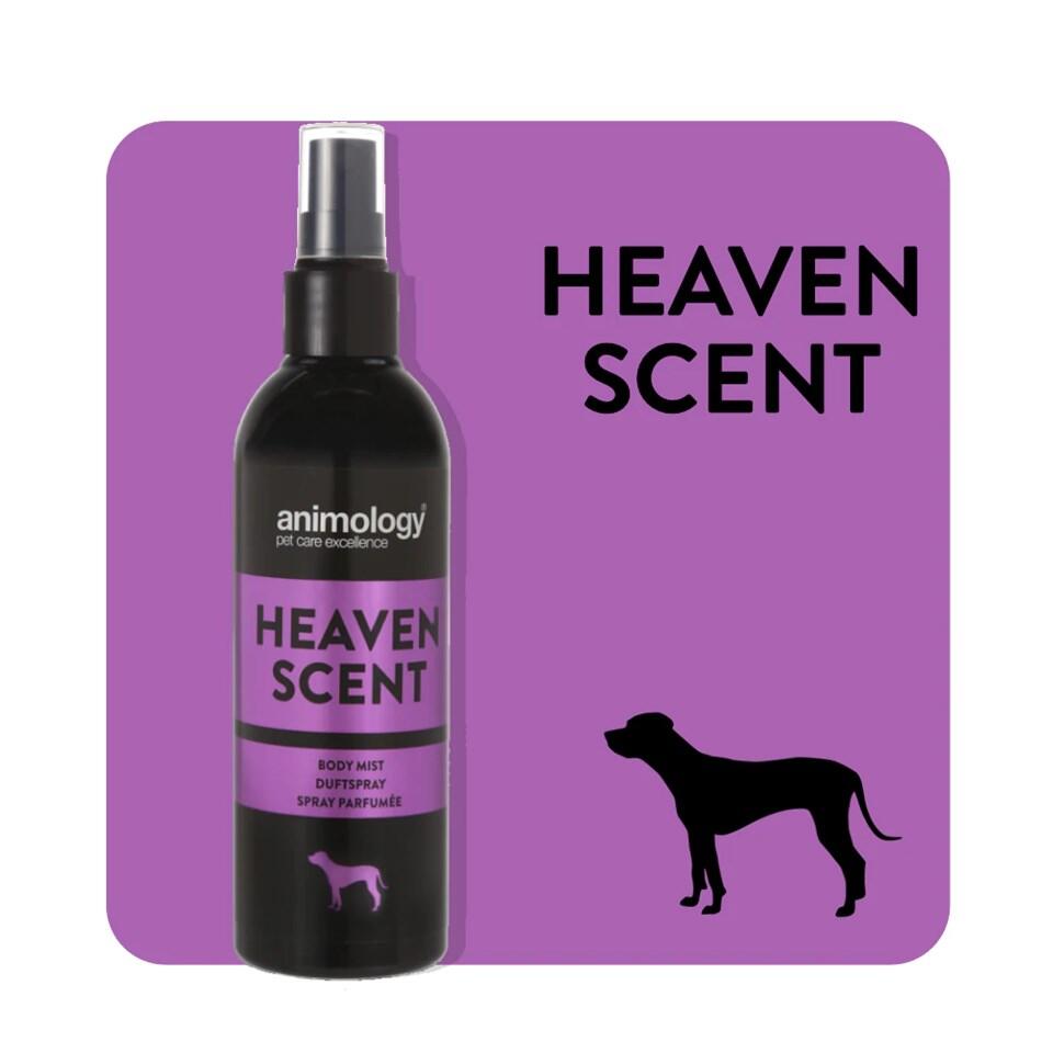 Animology Heaven Scent Köpek Parfümü Bakım Spreyi 150 Ml. - 1
