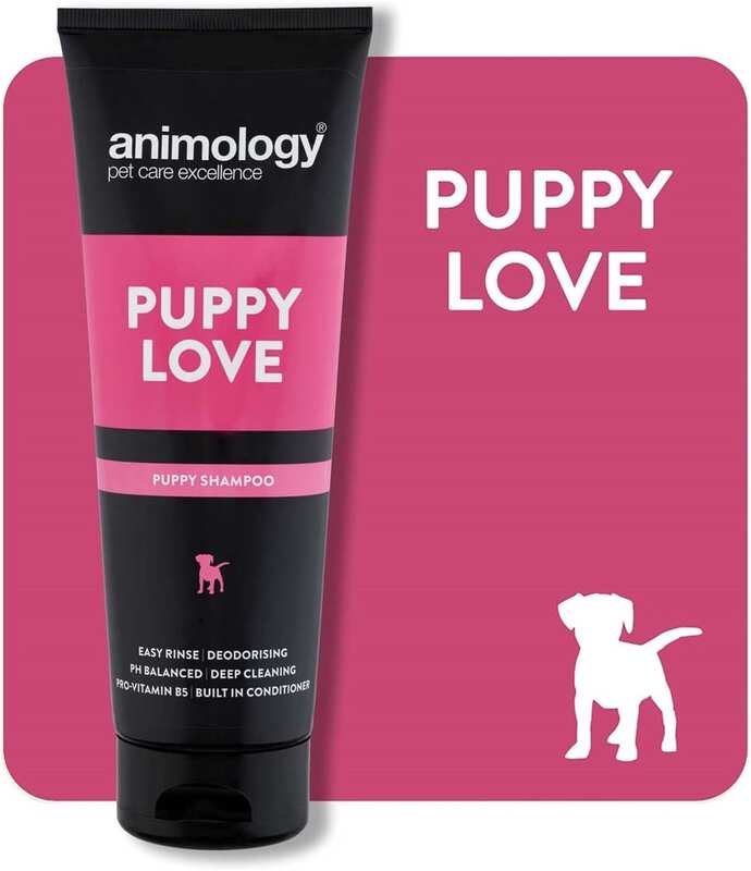 Animology Puppy Love Yavru Köpek Şampuanı 250 Ml