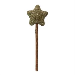 Eastland Matatabi Catnip Yıldız Kedi Lolipop 10 Cm - 1