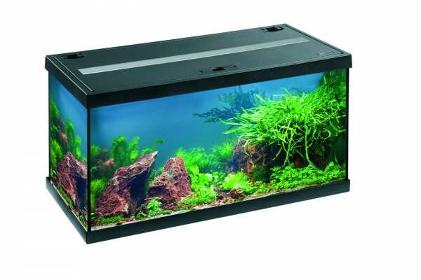 EHEIM AQUA STAR 54 LED SİYAH AKVARYUM BAŞLANGIÇ SETİ