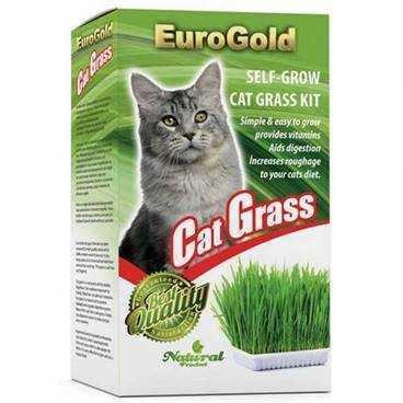 Euro Gold Cat Grass Kedi Çimi - 1