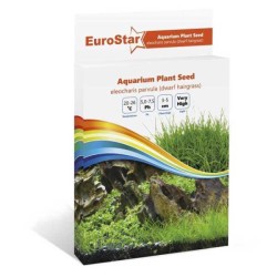 Eurostar Bitki Tohumu Eleocharıs Parvula
