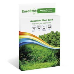 Eurostar Bitki Tohumu Glossostıgma Elatınoıdes