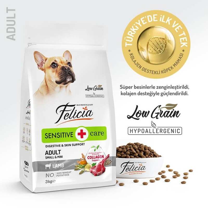 Felicia Düşük Tahıll Somonlu Hypoallergenic Yetişkin Köpek Maması 3 Kg.