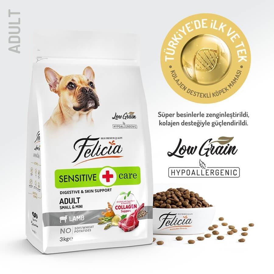 Felicia Düşük Tahıll Somonlu Hypoallergenic Yetişkin Köpek Maması 3 Kg. - 1