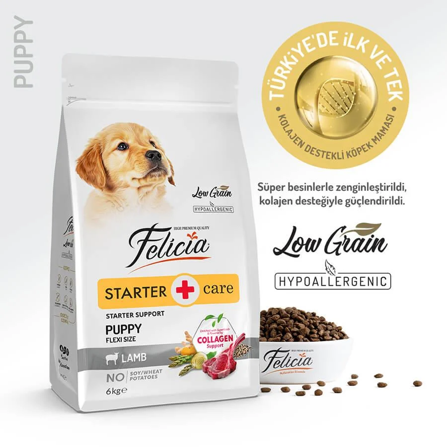 Felicia Az Tahıllı Yavru Kuzulu Small Mini Hypoallergenic Köpek Maması 6 Kg. - 1