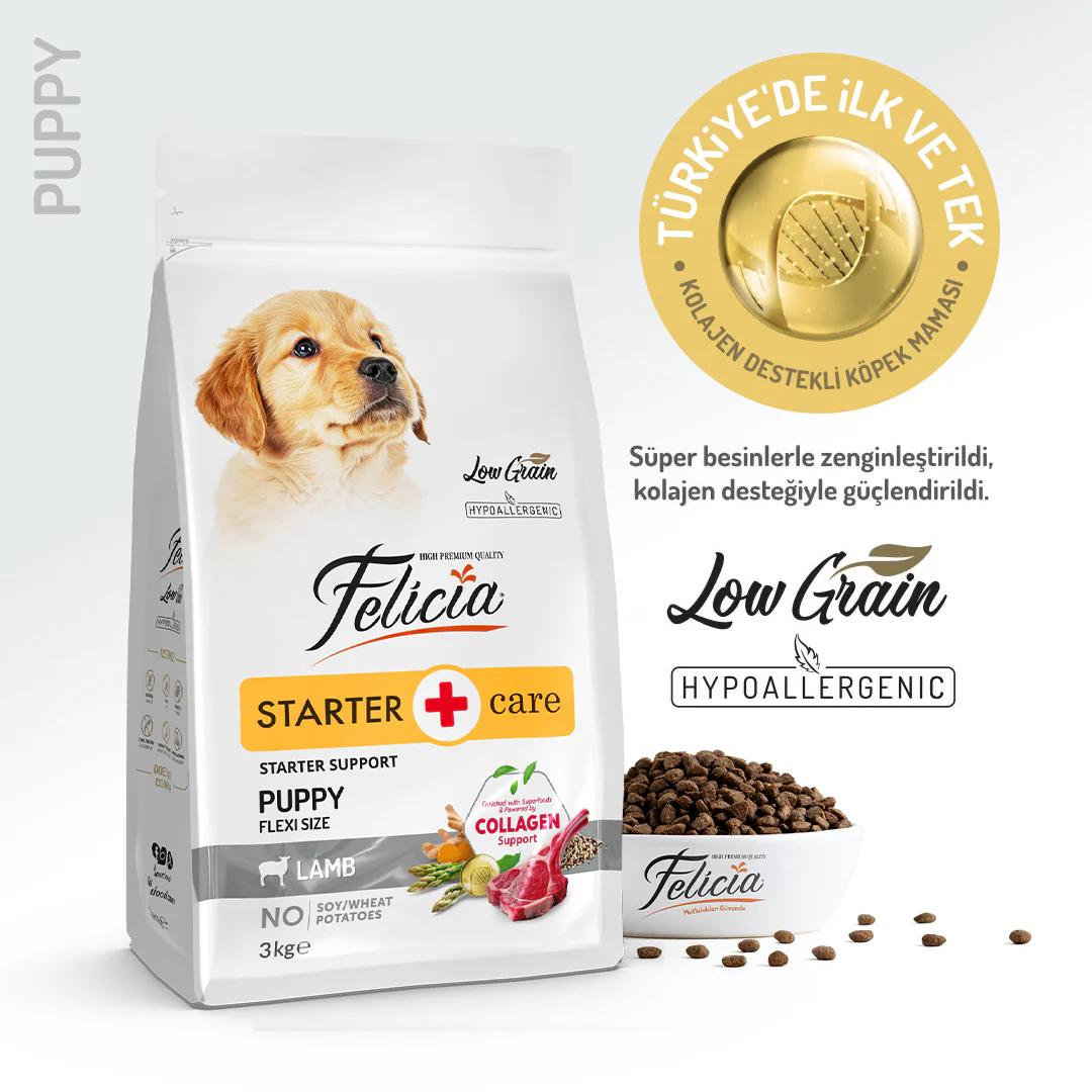 Felicia Düşük Tahıll Kuzulu Hypoallergenic Small Mini Yavru Köpek Maması 3 Kg. - 1
