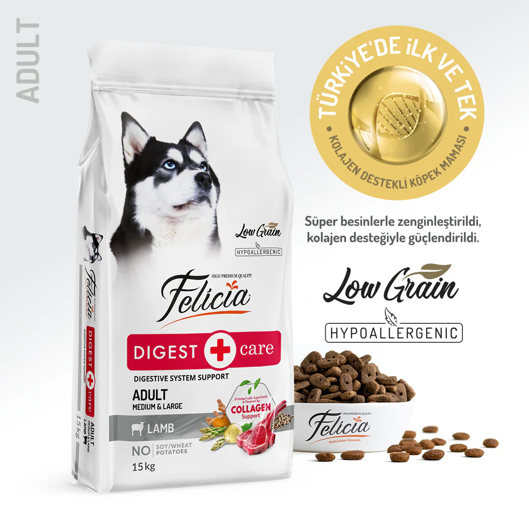 Felicia Düşük Tahıll Kuzulu Hypoallergenic Yetişkin Köpek Maması 15 Kg.