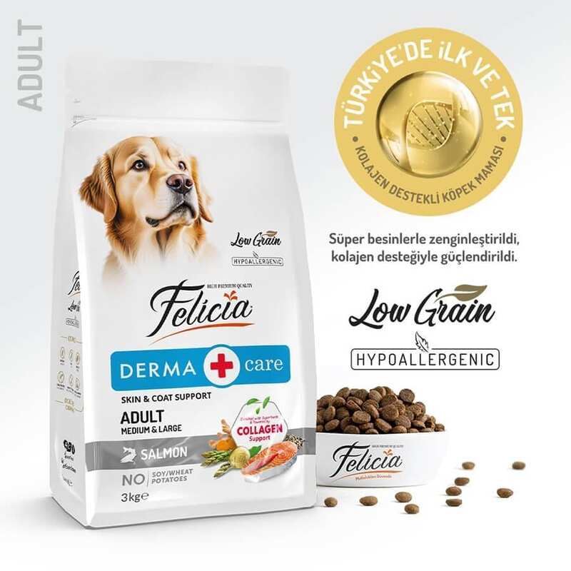 Felicia Düşük Tahıll Somonlu Hypoallergenic Yetişkin Köpek Maması 3 Kg.