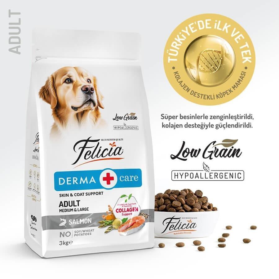 Felicia Düşük Tahıll Somonlu Hypoallergenic Yetişkin Köpek Maması 3 Kg. - 1