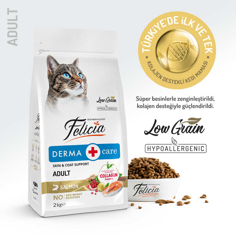 Felicia Az Thl Yetişkin Somonlu Kedi Maması 2 Kg