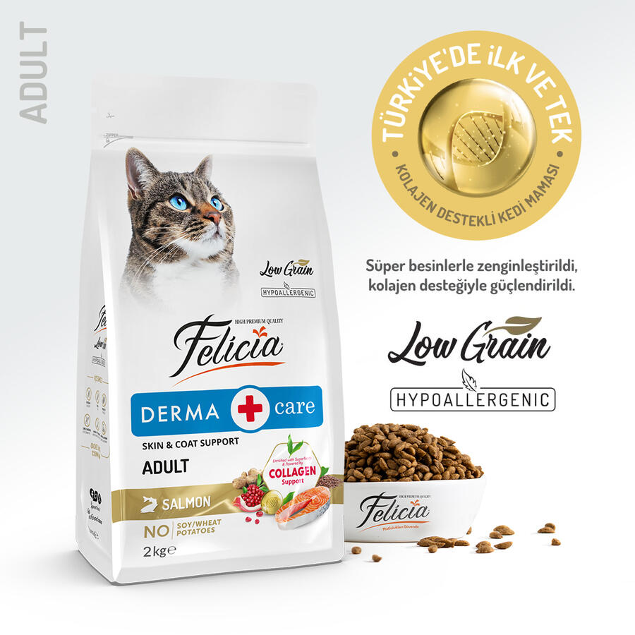 Felicia Az Thl Yetişkin Somonlu Kedi Maması 2 Kg - 1