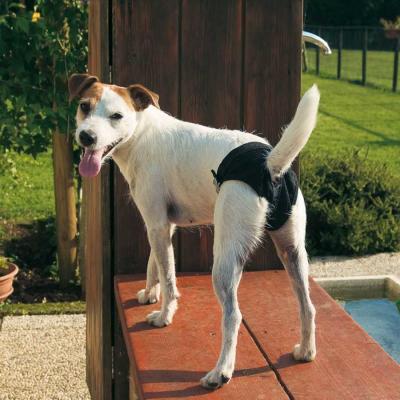 Ferplast Hijyenik Köpek Kilodu Large - 2