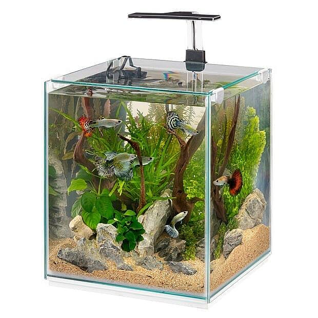Ferplast Tonga 30 Akvaryum Seti 30 L - 1