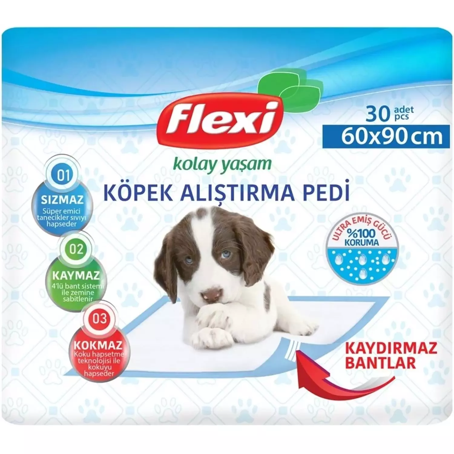 FLEXI KÖPEK ALIŞTIRMA PEDI 60*90 CM 30 AD - 1