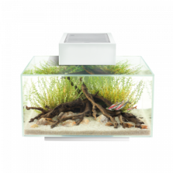 Fluval Edge 23 L Akvaryum Beyaz (1)