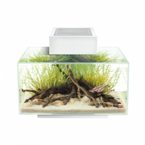Fluval Edge 23 L Akvaryum Beyaz - 2