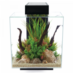 Fluval Edge 46 L Akvaryum Siyah (1)