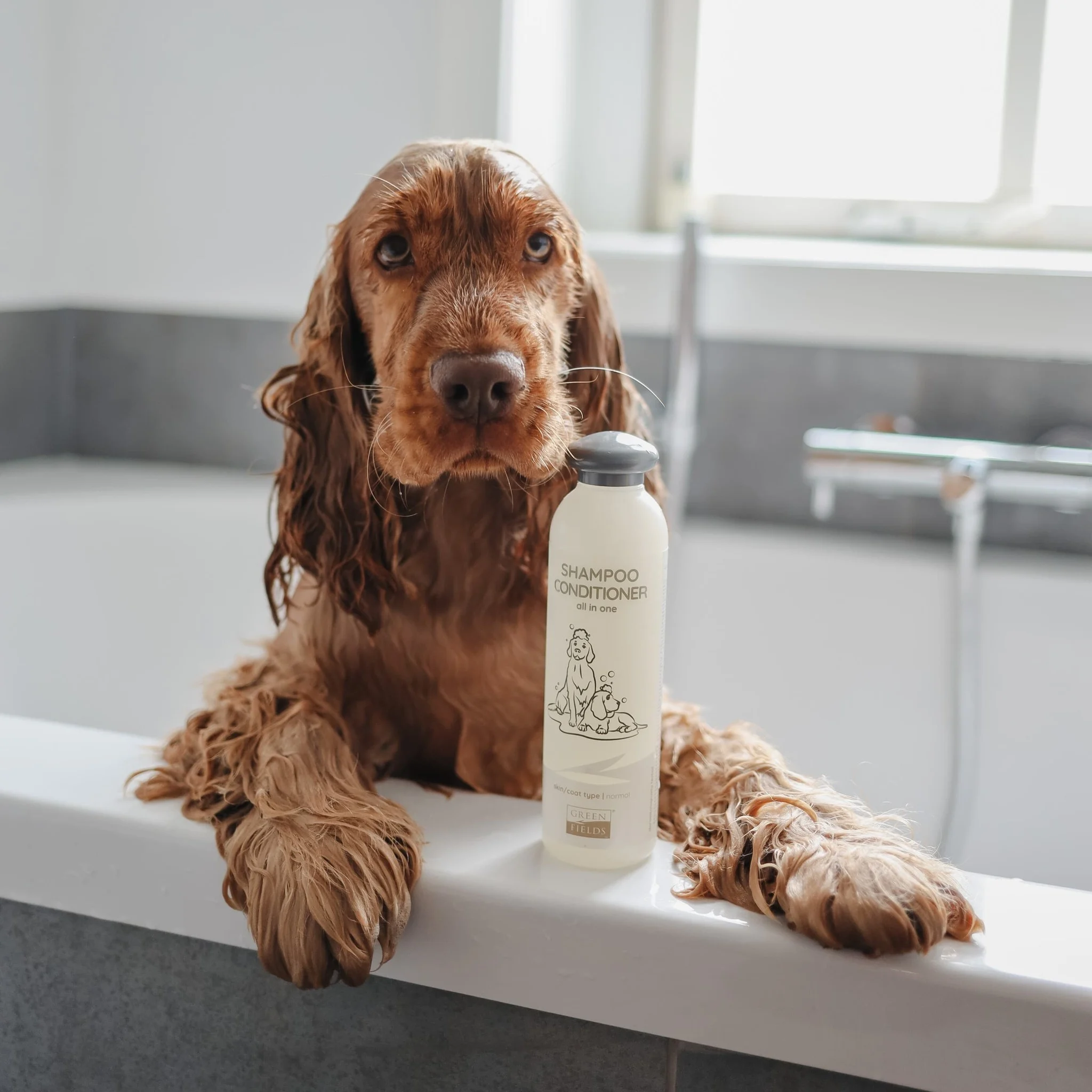 Green Fields Dog Shampoo Kremli Köpek Şampuanı 270 Ml - 2