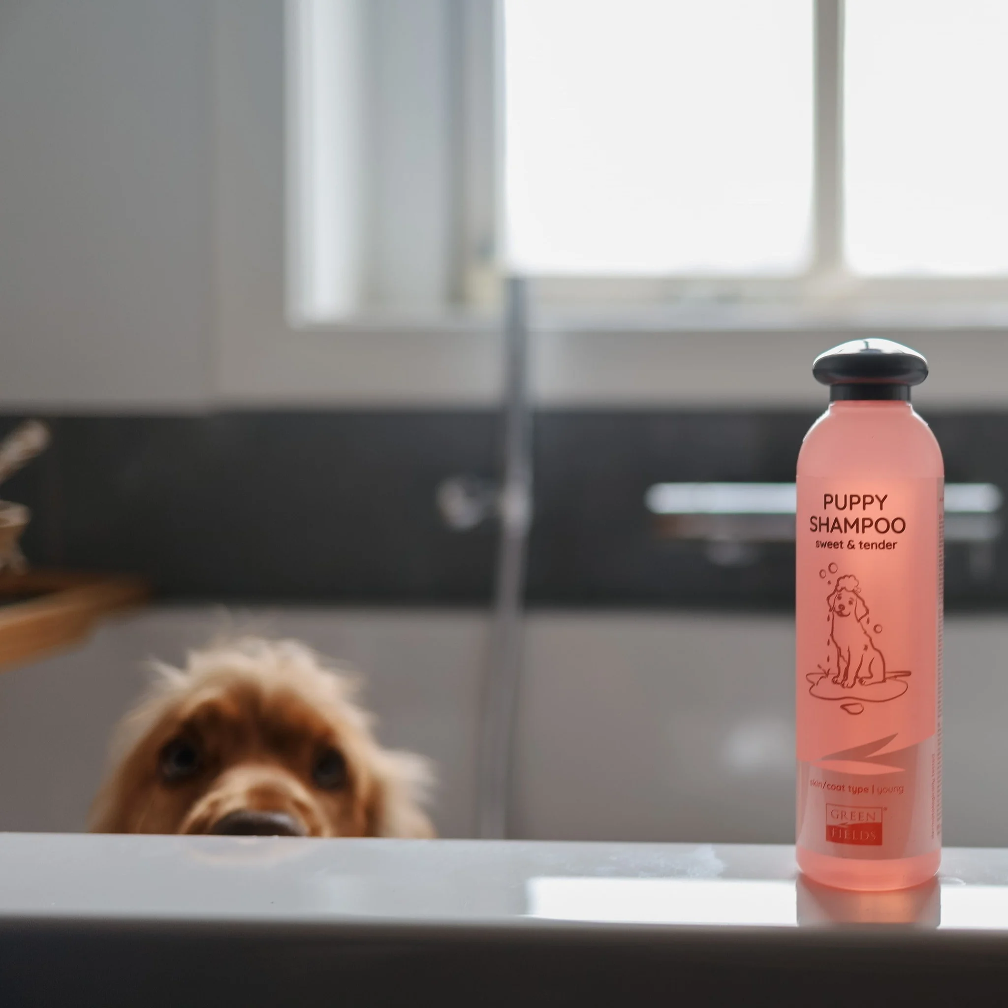 Green Fields Dog Puppy Yavru Köpek Şampuanı 250 Ml (1)