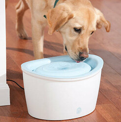 Hagen Dogit Fresh & Clear Otomatik Su Kabı 6 Litre