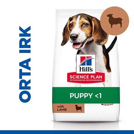 Hills Medium Puppy Kuzu Etli Yavru Köpek Maması 12+2 Kg.