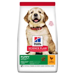 Hills Puppy Large Breed Chicken İri Irk Yavru Köpek Maması 14.5 Kg.