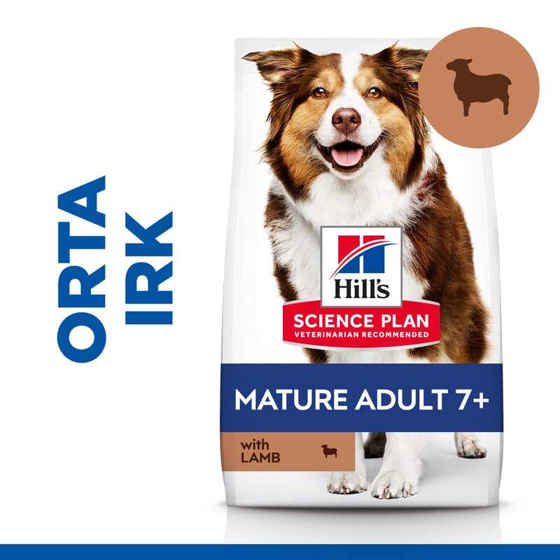 Hills Science Plan Mature +7 Tüm Irklar İçin Kuzu Etli Pirinçli Yaşlı Köpek Maması 14 Kg.