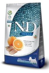 N&D Ocean Balıklı Ve Balkabaklı Tahılsız Küçük Irk Yetişkin Köpek Maması 7 Kg.