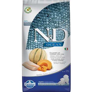 N&D Ocean Morina Balıklı Balkabaklı Ve Kavunlu Büyük Ve Orta Irk Yavru Köpek Maması 12 Kg (1)
