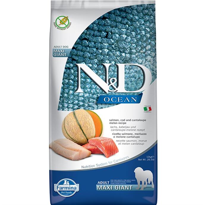 N&D Ocean Somon Ve Morina Balıklı Kavunlu Giant Maxi Yetişkin Köpek Maması 12 Kg - 1
