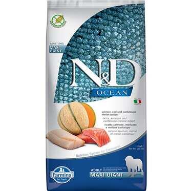 N&D Ocean Somon Ve Morina Balıklı Kavunlu Giant Maxi Yetişkin Köpek Maması 12 Kg - 2