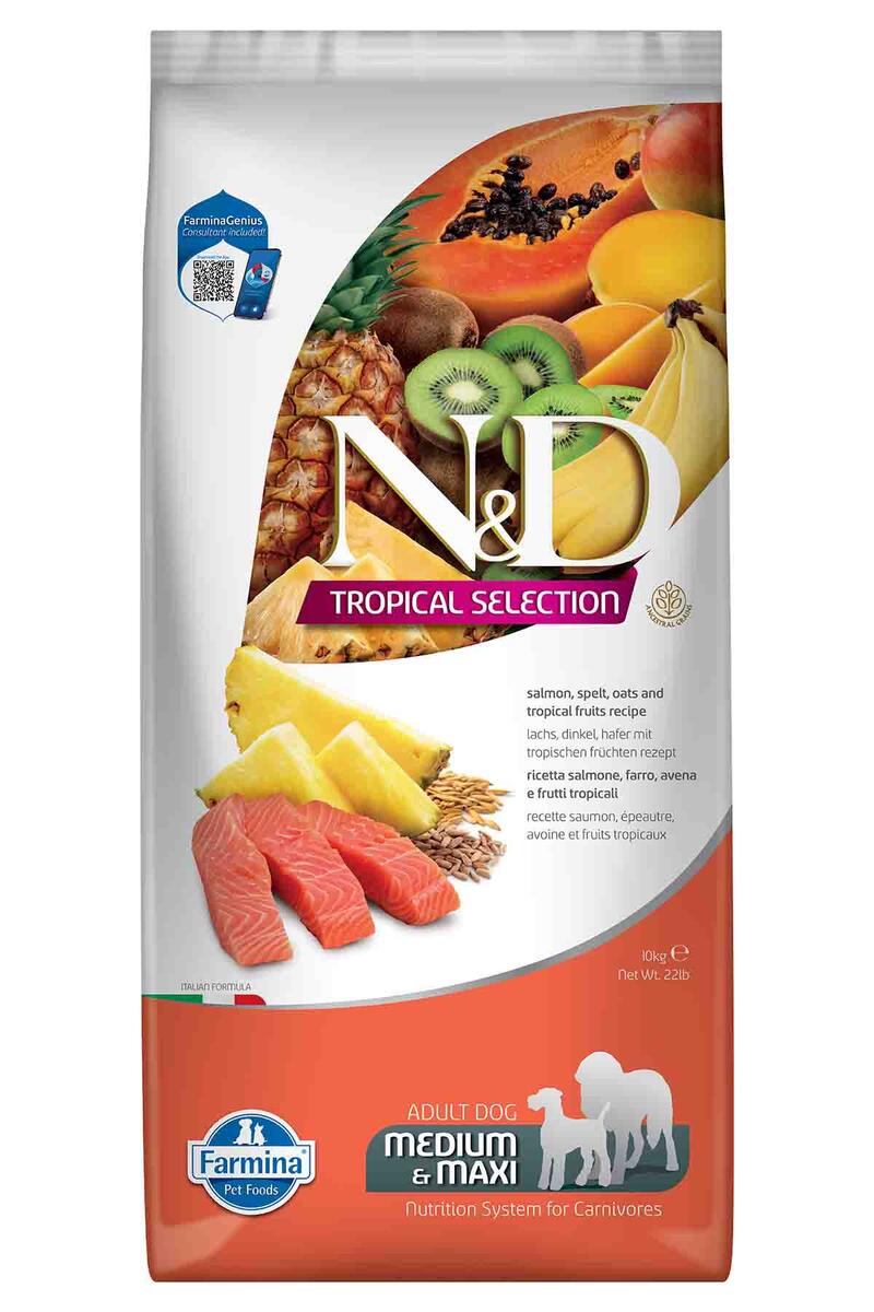 N&D Tropical Somonlu ve Tropikal Meyveli Orta ve Büyük Irk Yetişkin Köpek Maması 10 Kg - 1