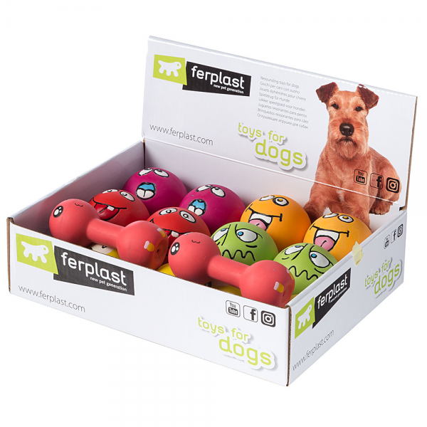 Pa 5570 Köpek Oyuncağı
