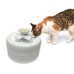 Pioneer Pet Manolya Kedi Suluğu Plastik