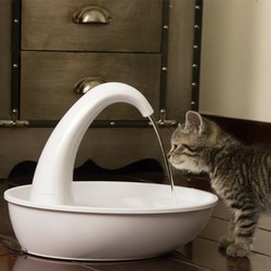 Pioneer Pet Otomatik Kedi Köpek Suluğu Plastik Kuğu 2,4 Litre (1)
