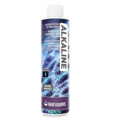Reeflowers Alkaline-Easy Balling I 1000 Ml - 2