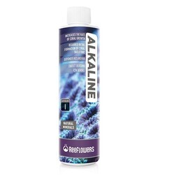 Reeflowers Alkaline-Easy Balling I 1000 Ml - 3