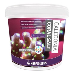 Reeflowers Caledonia Coral Salt 25 Kg