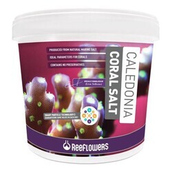 Reeflowers Caledonia Coral Salt 25 Kg (1)