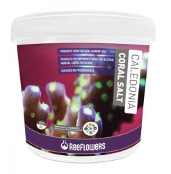 Reeflowers Caledonia Coral Sa Litre 6,5 Kg