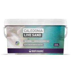 Reeflowers Caledonia Live Sand Gold 18Kg - 1