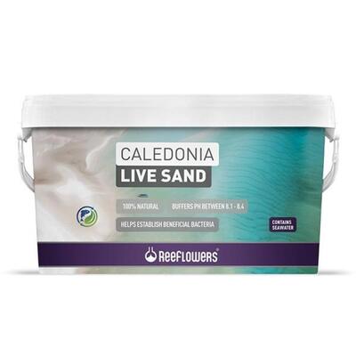 Reeflowers Caledonia Live Sand Purple 18Kg - 1