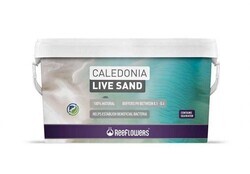 Reeflowers Caledonia Live Sand White 9Kg (1)
