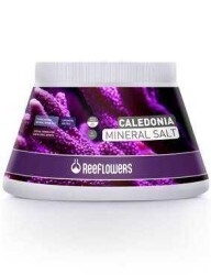 Reeflowers Caledonia Mineral Sa Litre 5500 Ml - Tuz (1)