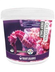 Reeflowers Caledonia Reef Sa Litre 22,5 Kg - Tuz (1)