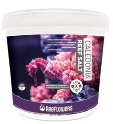 Reeflowers Caledonia Reef Salt 25 Kg (1)