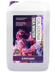 Reeflowers Caledonia Sea Water 20 Litre - Hazır Deniz Suyu - 2