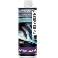 Reeflowers Ph Buffer 9,4 3000 Ml